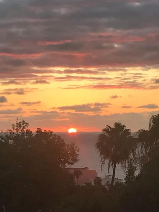 Pura Vida Strandnahes Ferienappartment In Bester Lage! Puerto de la Cruz  Zewnętrze zdjęcie