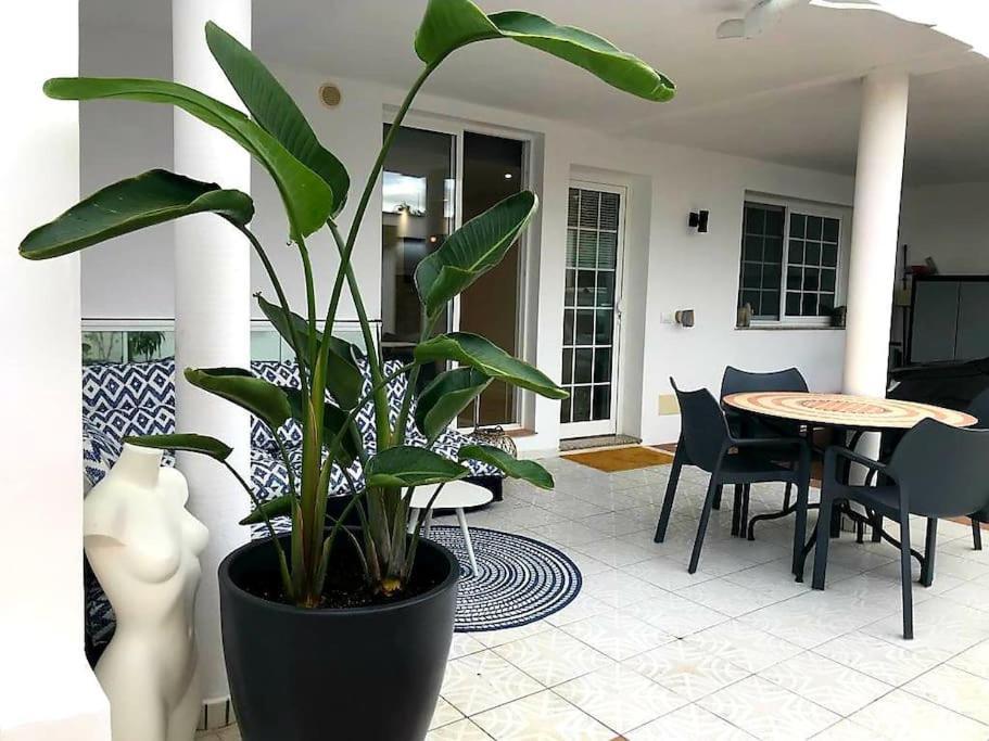 Pura Vida Strandnahes Ferienappartment In Bester Lage! Puerto de la Cruz  Zewnętrze zdjęcie